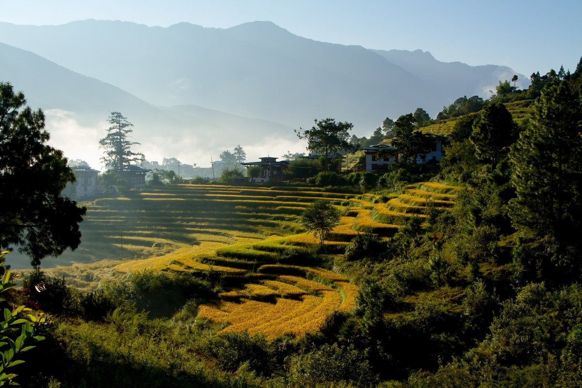 Sagala Trek